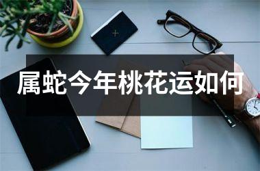<h3>属蛇今年桃花运如何