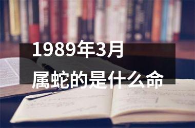 <h3>1989年3月属蛇的是什么命