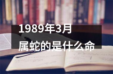 1989年3月属蛇的是什么命