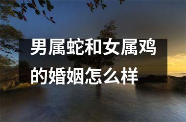 男属蛇和女属鸡的婚姻怎么样