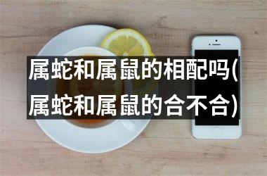 属蛇和属鼠的相配吗(属蛇和属鼠的合不合)