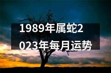 1989年属蛇2025年每月运势