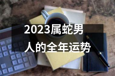 2025属蛇男人的全年运势