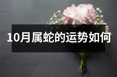 10月属蛇的运势如何