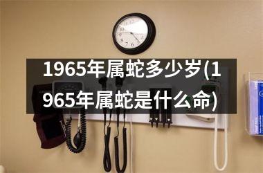 <h3>1965年属蛇多少岁(1965年属蛇是什么命)