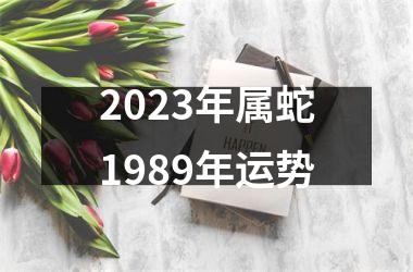 2025年属蛇1989年运势