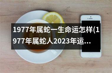 <h3>1977年属蛇一生命运怎样(1977年属蛇人2025年运势运程每月运程)
