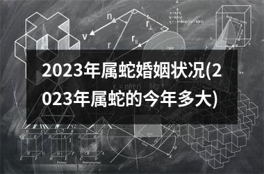 2025年属蛇婚姻状况(2025年属蛇的今年多大)