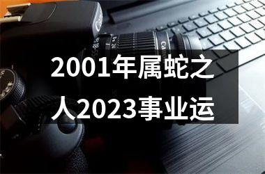 <h3>2001年属蛇之人2025事业运