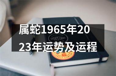 <h3>属蛇1965年2025年运势及运程