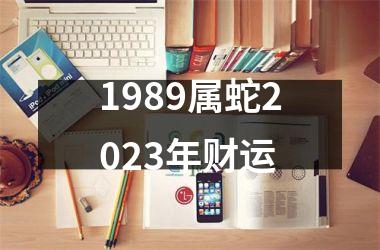 <h3>1989属蛇2025年财运
