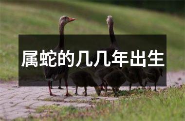 属蛇的几几年出生