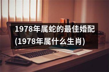 1978年属蛇的最佳婚配(1978年属什么生肖)