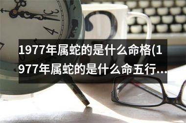 1977年属蛇的是什么命格(1977年属蛇的是什么命五行缺什么)