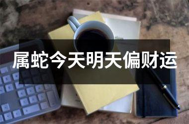 属蛇今天明天偏财运