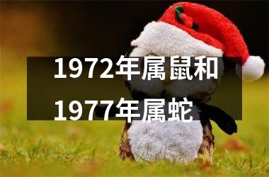 1972年属鼠和1977年属蛇