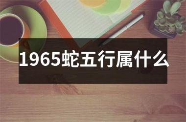 1965蛇五行属什么
