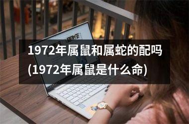 1972年属鼠和属蛇的配吗(1972年属鼠是什么命)