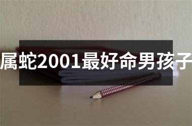 <h3>属蛇2001最好命男孩子