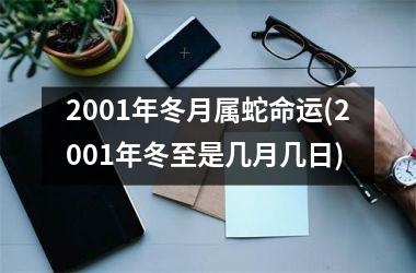 2001年冬月属蛇命运(2001年冬至是几月几日)