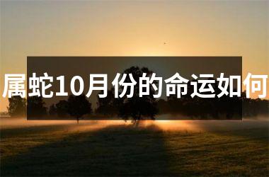 属蛇10月份的命运如何