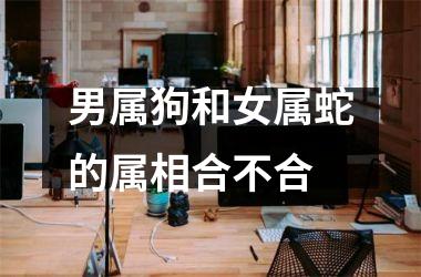 <h3>男属狗和女属蛇的属相合不合