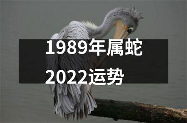 1989年属蛇2025运势