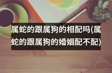 属蛇的跟属狗的相配吗(属蛇的跟属狗的婚姻配不配)