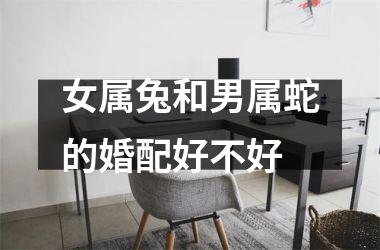 女属兔和男属蛇的婚配好不好
