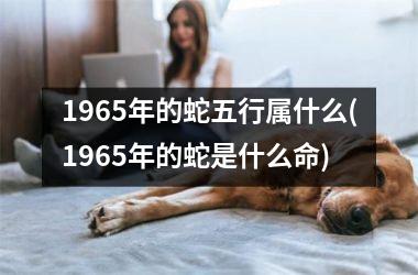 1965年的蛇五行属什么(1965年的蛇是什么命)