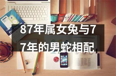 <h3>87年属女兔与77年的男蛇相配