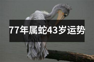 77年属蛇43岁运势