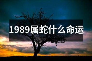 1989属蛇什么命运