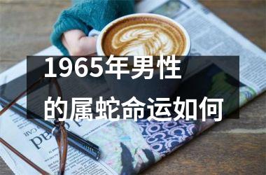 1965年男性的属蛇命运如何