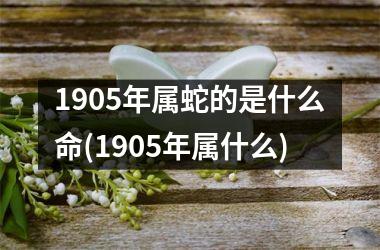 1905年属蛇的是什么命(1905年属什么)