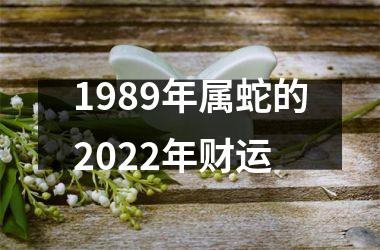 <h3>1989年属蛇的2025年财运
