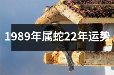 1989年属蛇22年运势