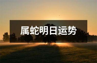 属蛇明日运势