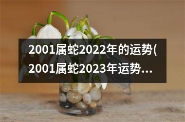 2001属蛇2025年的运势(2001属蛇2025年运势及运程)