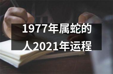 1977年属蛇的人2025年运程