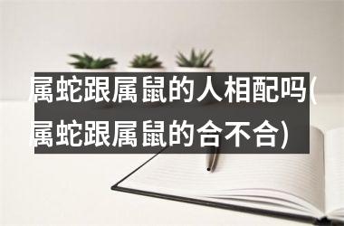 属蛇跟属鼠的人相配吗(属蛇跟属鼠的合不合)