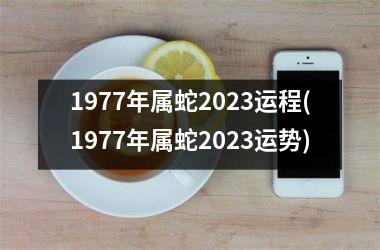 1977年属蛇2025运程(1977年属蛇2025运势)