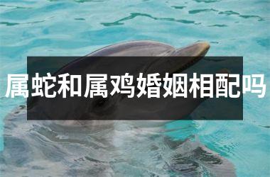 <h3>属蛇和属鸡婚姻相配吗