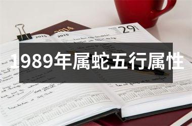 <h3>1989年属蛇五行属性