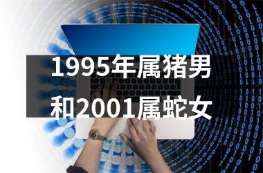<h3>1995年属猪男和2001属蛇女