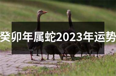 癸卯年属蛇2025年运势
