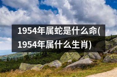 <h3>1954年属蛇是什么命(1954年属什么生肖)