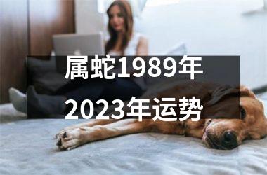 <h3>属蛇1989年2025年运势
