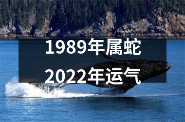 <h3>1989年属蛇2025年运气