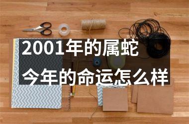 2001年的属蛇今年的命运怎么样